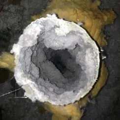 JCS Home Services of Northern Virginia for Dryer Vent Cleaning