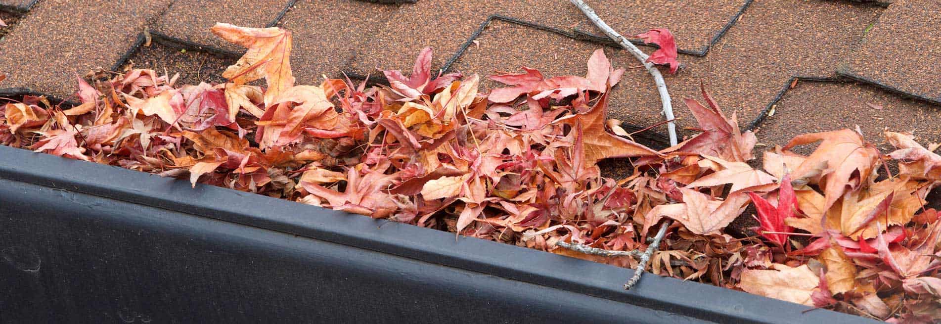 Gutter Cleaning
